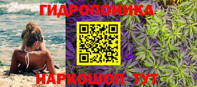 мяу мяу мука Донской